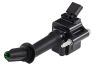 Picture of Hella Direct Ignition Coil - 358057921