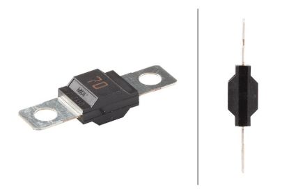 Picture of Hella Multi-Purpose Fuse - 742901031