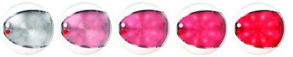 Picture of Hella Dome Light - 959950121