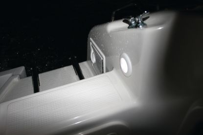 Picture of Hella Courtesy Light - 980500041