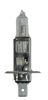 Picture of Hella Multi-Purpose Light Bulb - H1 24V DP