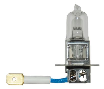 Picture of Hella Multi-Purpose Light Bulb - H3 24V DP