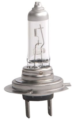 Picture of Hella Multi-Purpose Light Bulb - H7 24V DP