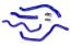 Picture of HPS Performance Radiator Coolant Hose Kit - 57-1390-BLUE