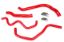 Picture of HPS Performance Radiator Coolant Hose Kit - 57-1390-RED