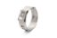 Picture of HPS Performance Hose Clamp - EC-0095x100