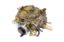 Picture of Jet Performance Carburetor - 32001