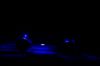 Picture of KC HiLiTES Off-Road Light - 339