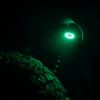 Picture of KC HiLiTES Fog Light Lens - 4405