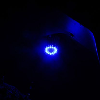 Picture of KC HiLiTES Fog Light Lens - 4414