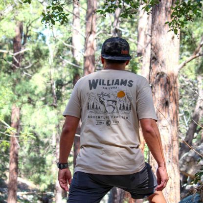 Picture of KC HiLiTES T-Shirt - 70650