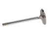 Picture of Manley Engine Intake Valve - 10476-1
