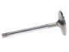 Picture of Manley Engine Intake Valve - 10550-1