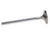 Picture of Manley Engine Exhaust Valve - 10577-8