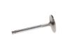 Picture of Manley Engine Intake Valve - 10766-8