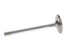 Picture of Manley Engine Exhaust Valve - 10769-8