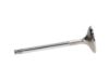 Picture of Manley Engine Exhaust Valve - 11121-12