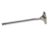 Picture of Manley Engine Exhaust Valve - 11133-1