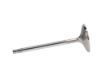Picture of Manley Engine Intake Valve - 11148-16