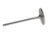 Picture of Manley Engine Intake Valve - 11304-8