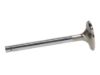 Picture of Manley Engine Exhaust Valve - 11313-8