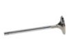 Picture of Manley Engine Exhaust Valve - 11513-8