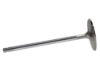 Picture of Manley Engine Intake Valve - 11582-1