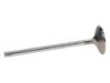 Picture of Manley Engine Exhaust Valve - 11583-1