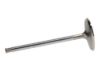 Picture of Manley Engine Intake Valve - 11610-1