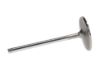 Picture of Manley Engine Intake Valve - 11610B-1