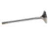 Picture of Manley Engine Exhaust Valve - 11611B-8