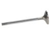 Picture of Manley Engine Exhaust Valve - 11613-1