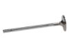 Picture of Manley Engine Intake Valve - 11616B-1