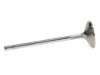 Picture of Manley Engine Exhaust Valve - 11631B-1