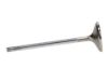 Picture of Manley Engine Exhaust Valve - 11633B-8