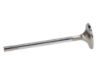 Picture of Manley Engine Exhaust Valve - 11637-1