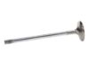 Picture of Manley Engine Exhaust Valve - 11645-1