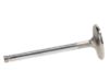 Picture of Manley Engine Intake Valve - 11652B-1