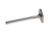 Picture of Manley Engine Intake Valve - 11656-4