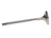 Picture of Manley Engine Exhaust Valve - 11669-8