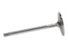 Picture of Manley Engine Intake Valve - 11670-8