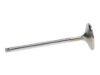 Picture of Manley Engine Intake Valve - 11690-1