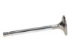 Picture of Manley Engine Exhaust Valve - 11795-1