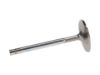 Picture of Manley Engine Exhaust Valve - 11849-8