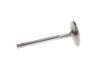 Picture of Manley Engine Exhaust Valve - 11891-1