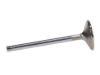 Picture of Manley Engine Exhaust Valve - 11899-8