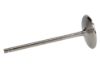 Picture of Manley Engine Intake Valve - 12174B-1