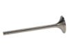 Picture of Manley Engine Exhaust Valve - 12213B-1