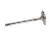 Picture of Manley Engine Intake Valve - 12366-1
