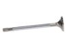 Picture of Manley Engine Intake Valve - 12630-1